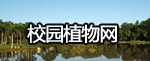 校园植物网